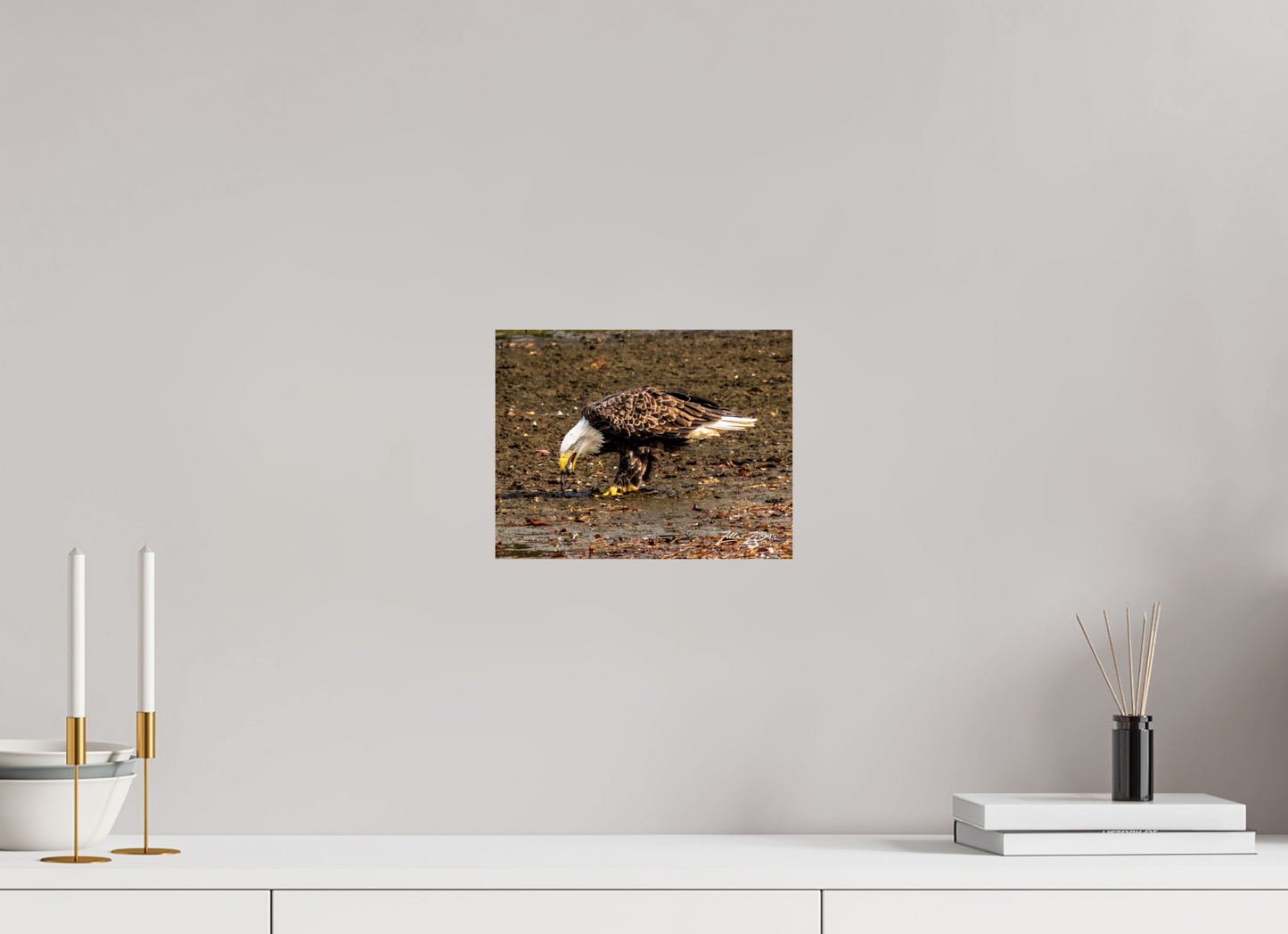 10.4 x 8″, Photo Print On Fuji Crystal DP II Zillas Zoom Image 306