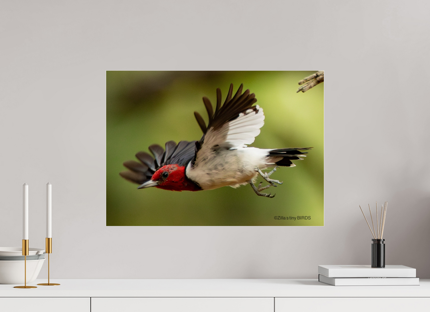 22.4 x 16″, Photo Print Under Acrylic Glass Zillas Zoom Image 274
