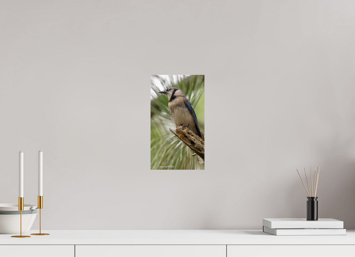 6.8 x 12″, Photo Print On Fuji Crystal DP II Zillas Zoom Image 488
