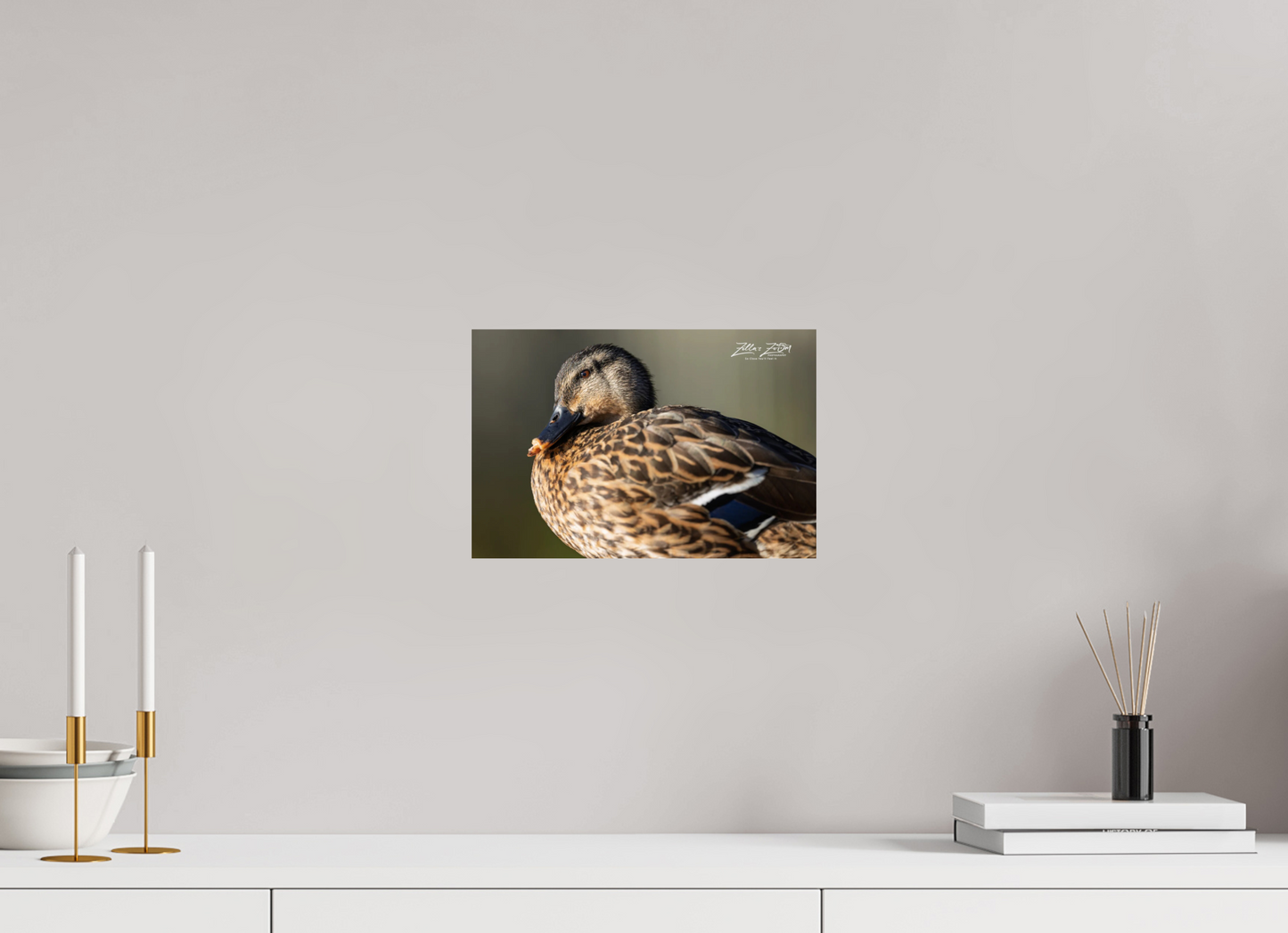 12 x 8″, Photo Print On Fuji Crystal DP II Zillas Zoom Image 300
