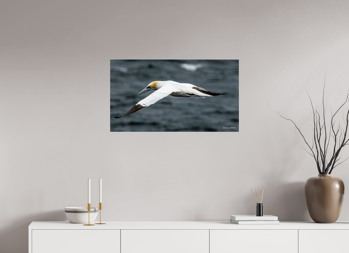 32 x 18″, Photo Print Under Acrylic Glass Zillas Zoom Image 324