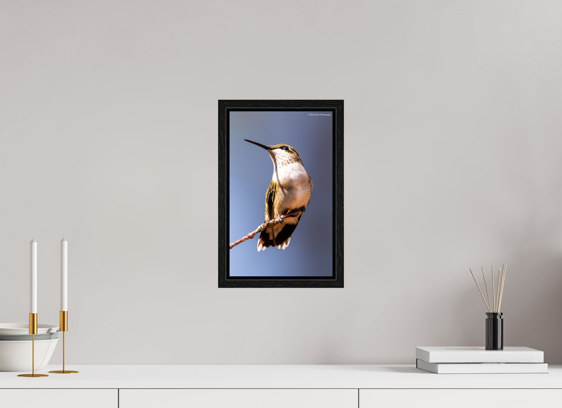 8 x 12.8″, Floater Frame Zillas Zoom Image 460