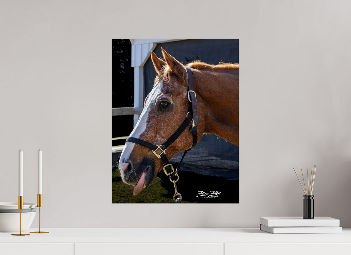16 x 20.7″, Photo Print Under Acrylic Glass Zillas zoom image 157