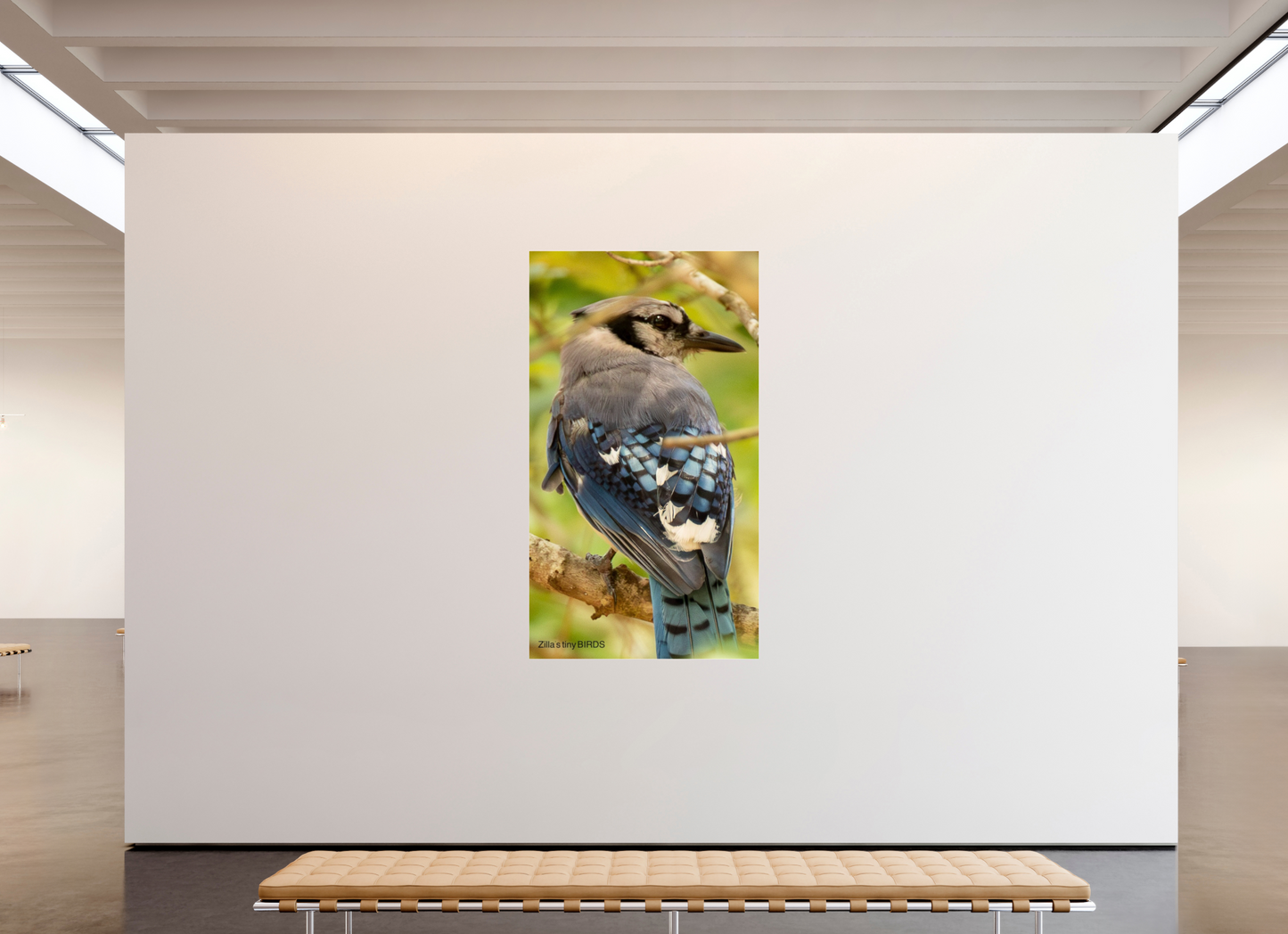 45 x 80″, Photo Print Under Acrylic Glass Zillas Zoom Image 487