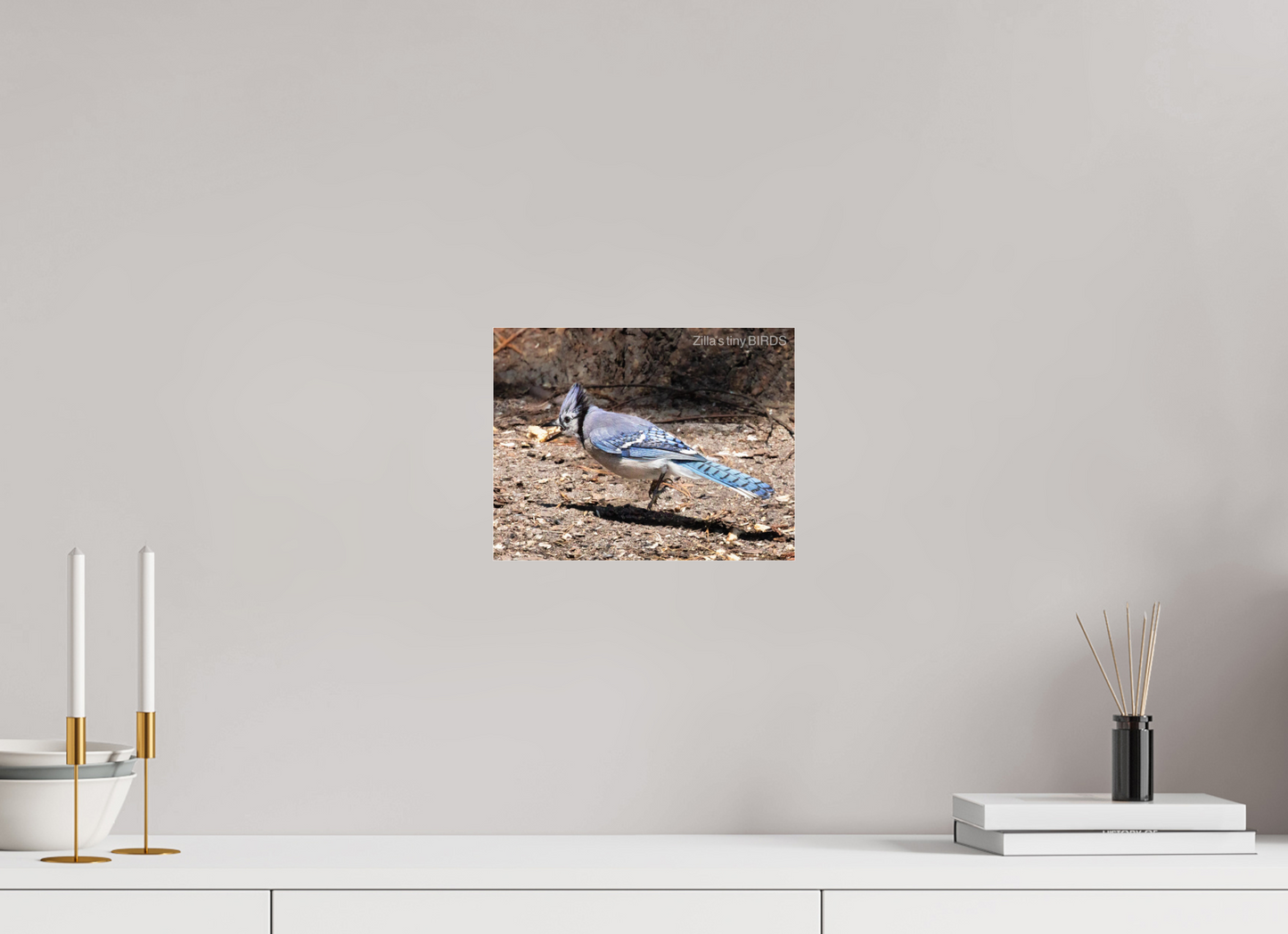 10.4 x 8″, Photo Print Under Acrylic Glass Zillas Zoom Image 381