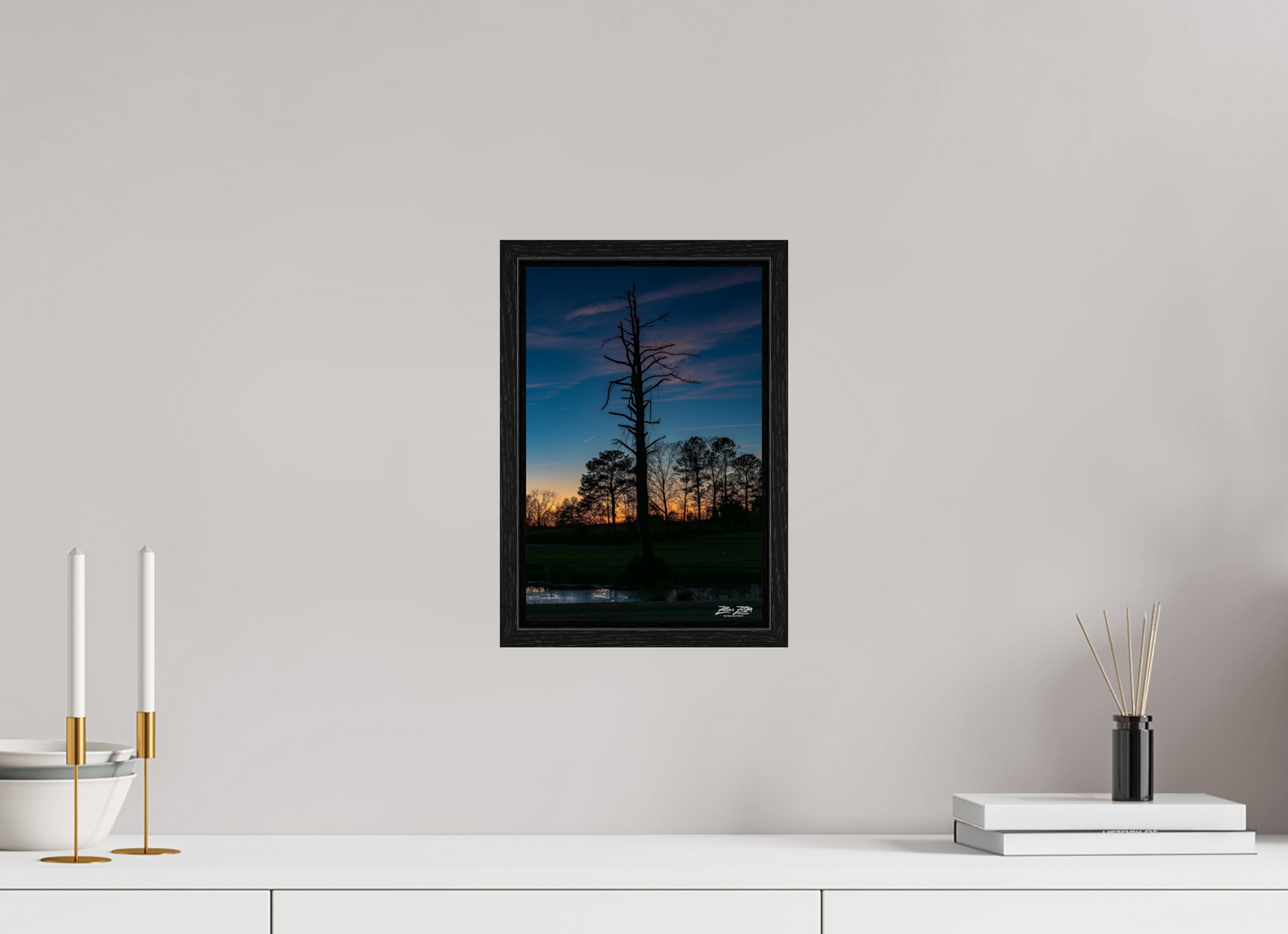 8 x 12″, Floater Frame Zillas Zoom Image 82