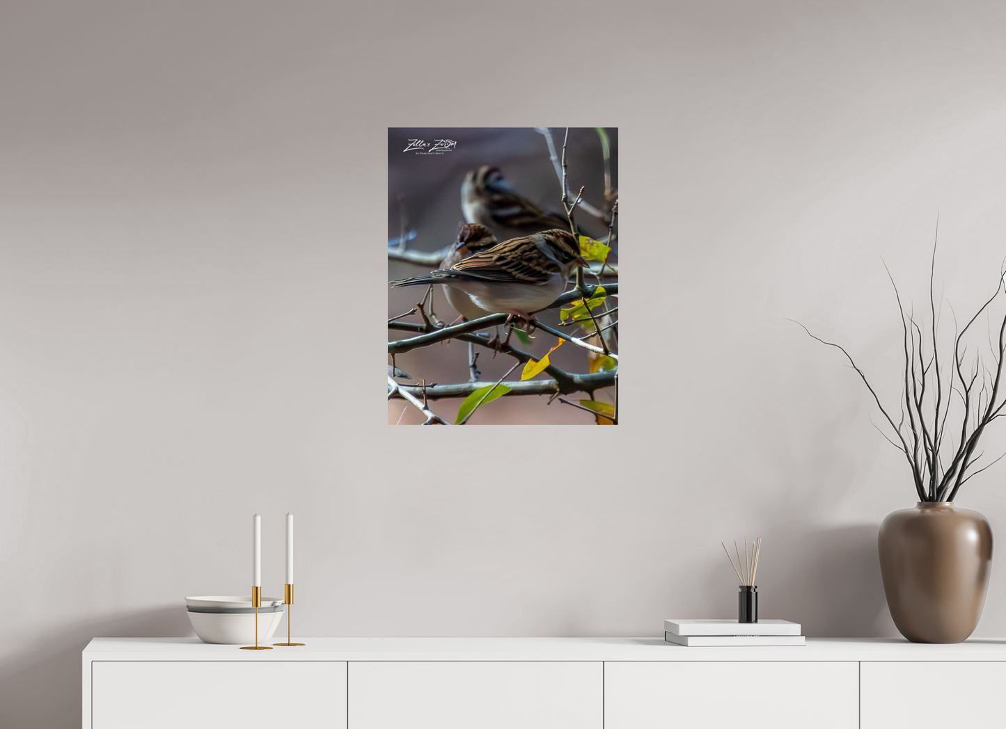 20 x 25.9″, Photo Print On Fuji Crystal DP II Zillas Zoom Image 427