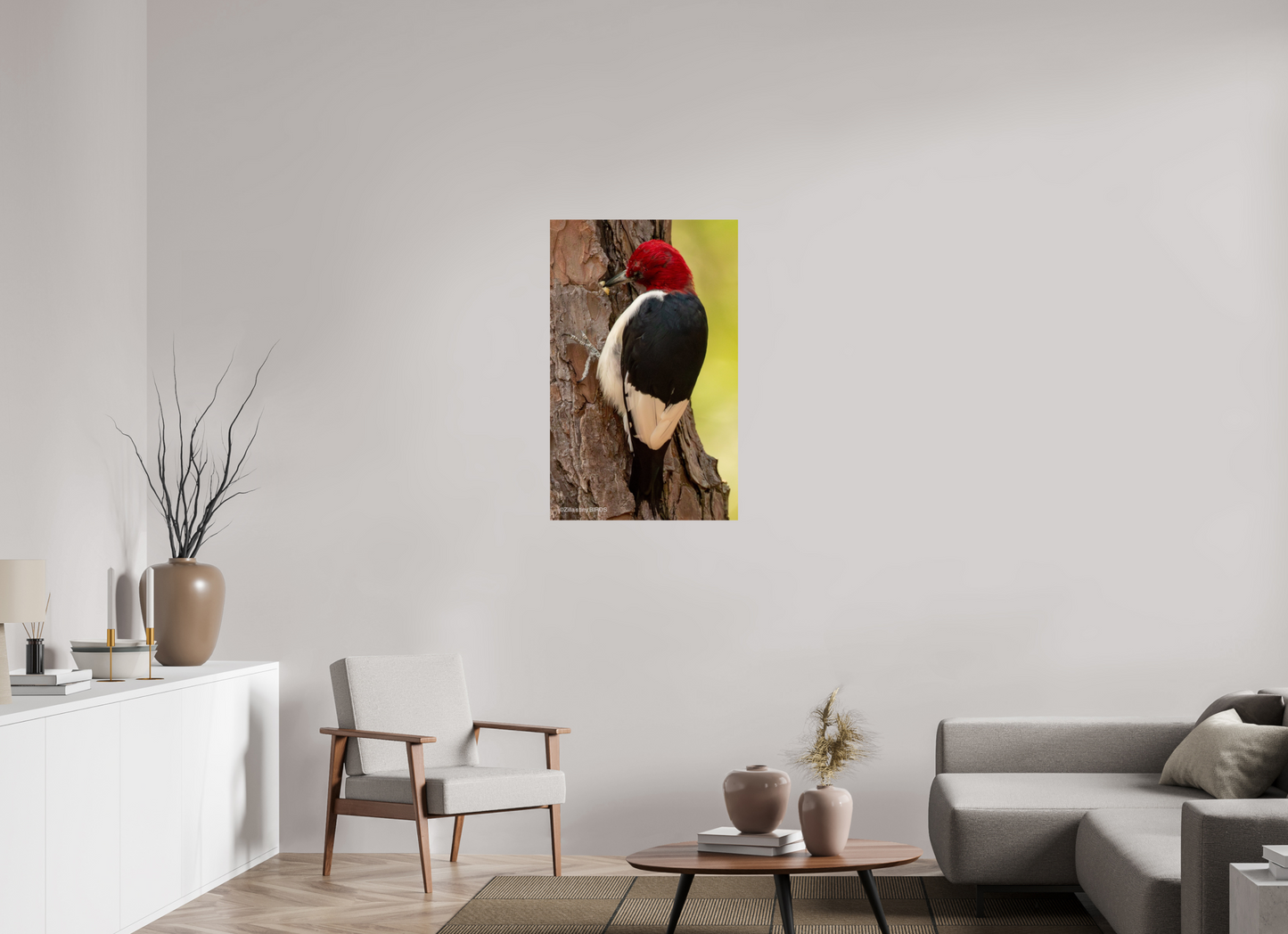 24 x 38.4″, Photo Print On Fuji Crystal DP II Zillas Zoom Image 461