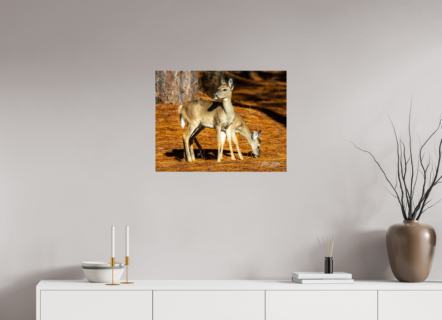 25.9 x 20″, Photo Print On Fuji Crystal DP II Zillas zoom image 144
