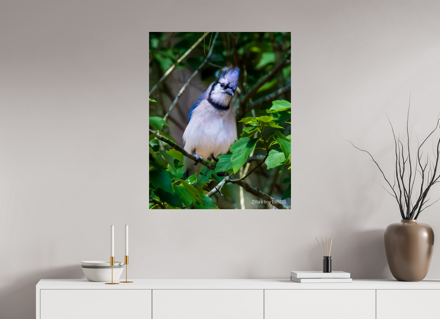 28 x 35″, Photo Print Under Acrylic Glass Zillas Zoom Image 497