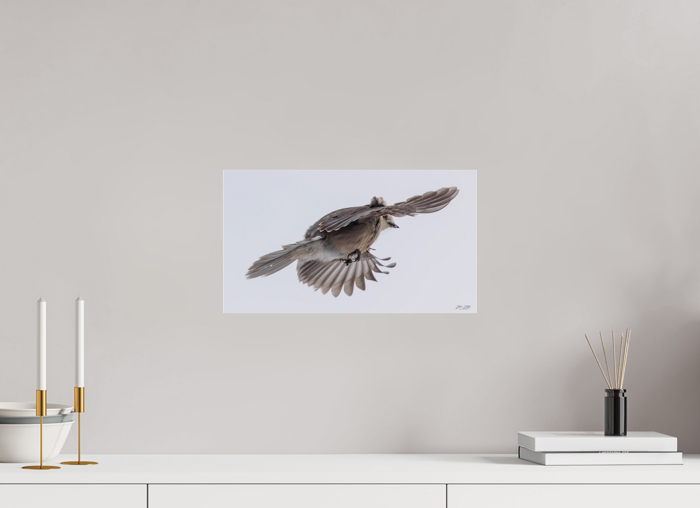 16 x 9″, Photo Print Under Acrylic Glass Zillas Zoom Image 352