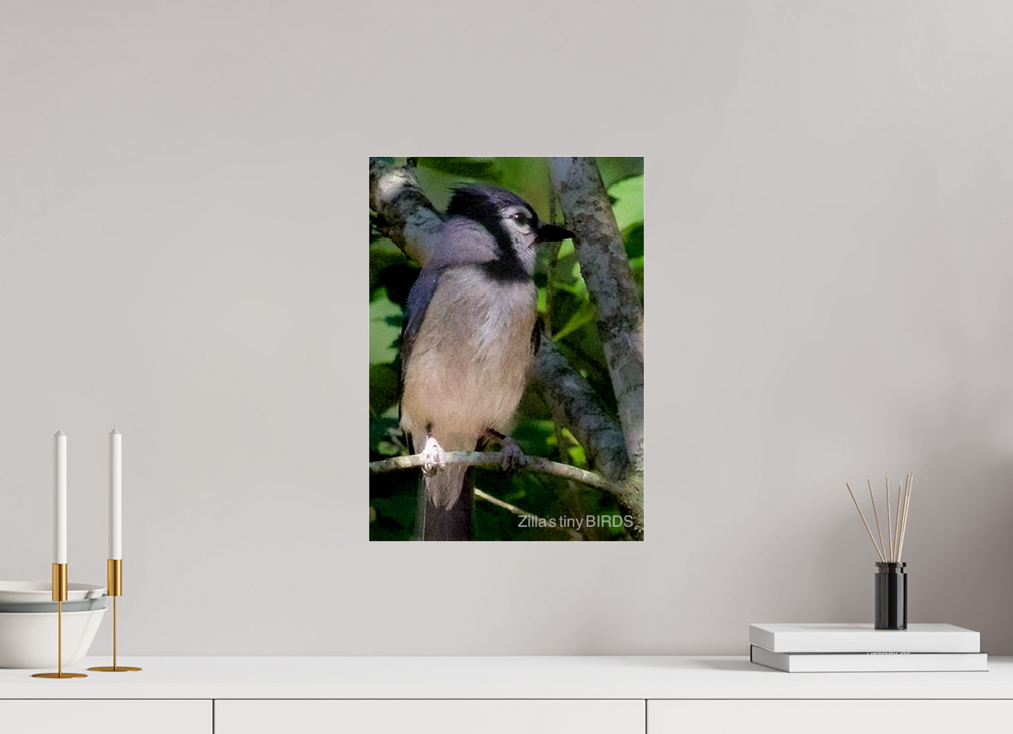 12 x 16.8″, Photo Print Under Acrylic Glass Zillas Zoom Image 470