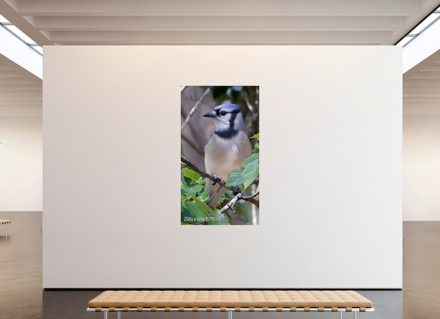 45 x 80″, Photo Print Under Acrylic Glass Zillas Zoom Image 483