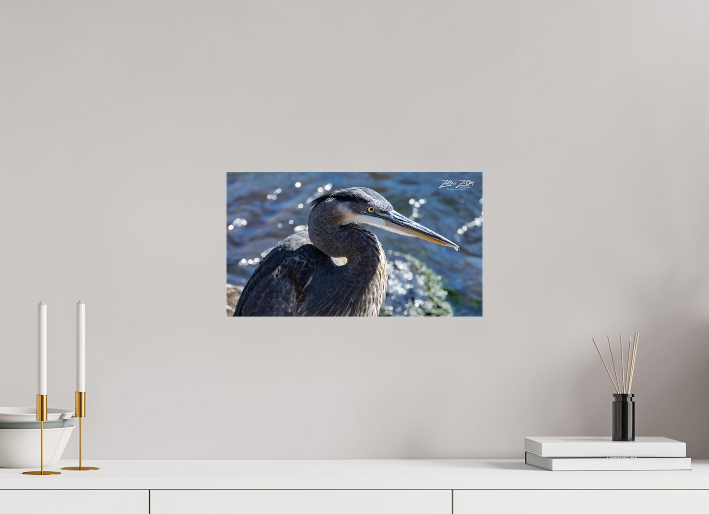 16 x 9″, Photo Print Under Acrylic Glass Zillas Zoom Image 343