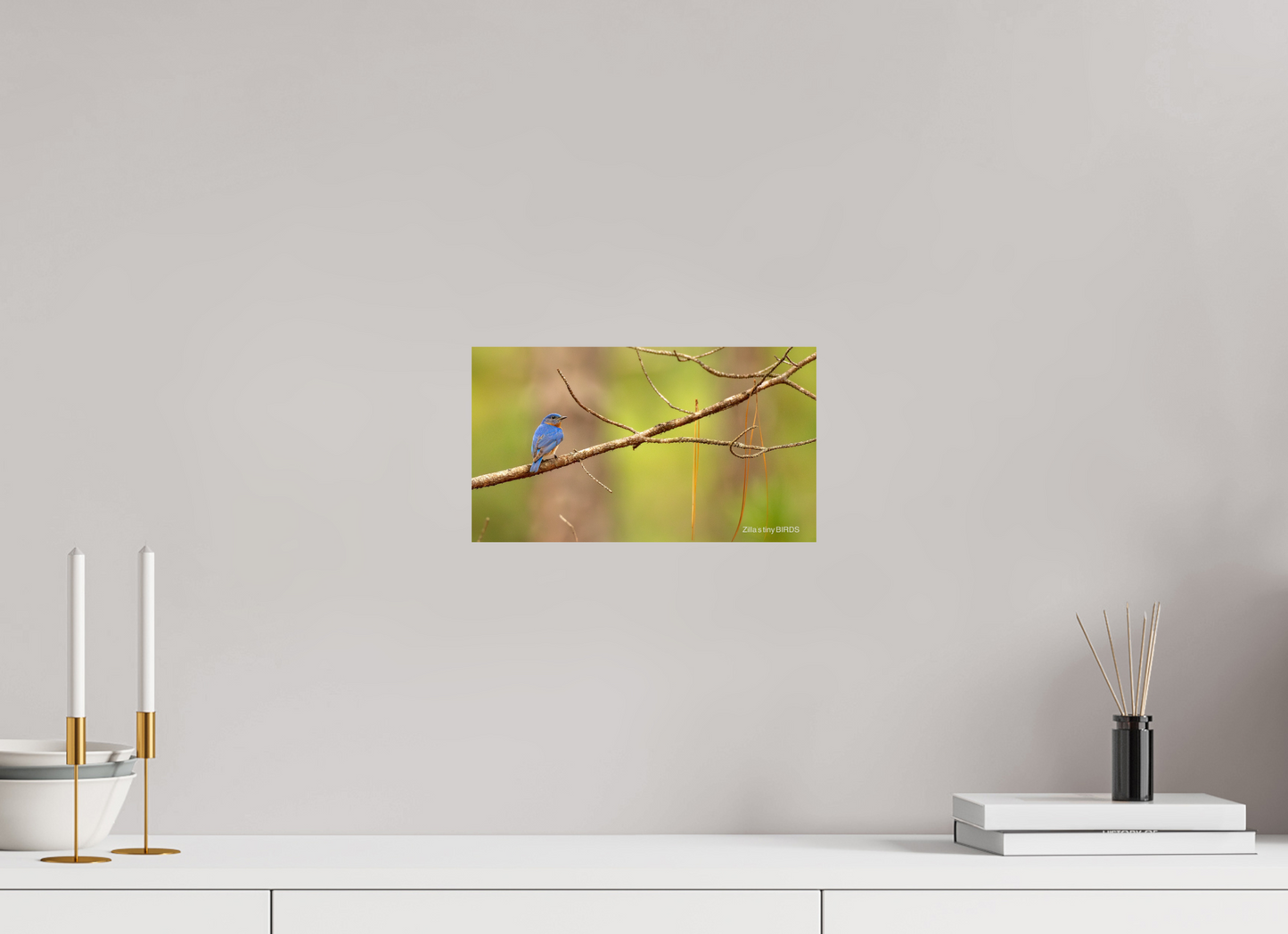 12 x 6.8″, Photo Print On Fuji Crystal DP II Zillas Zoom Image 382