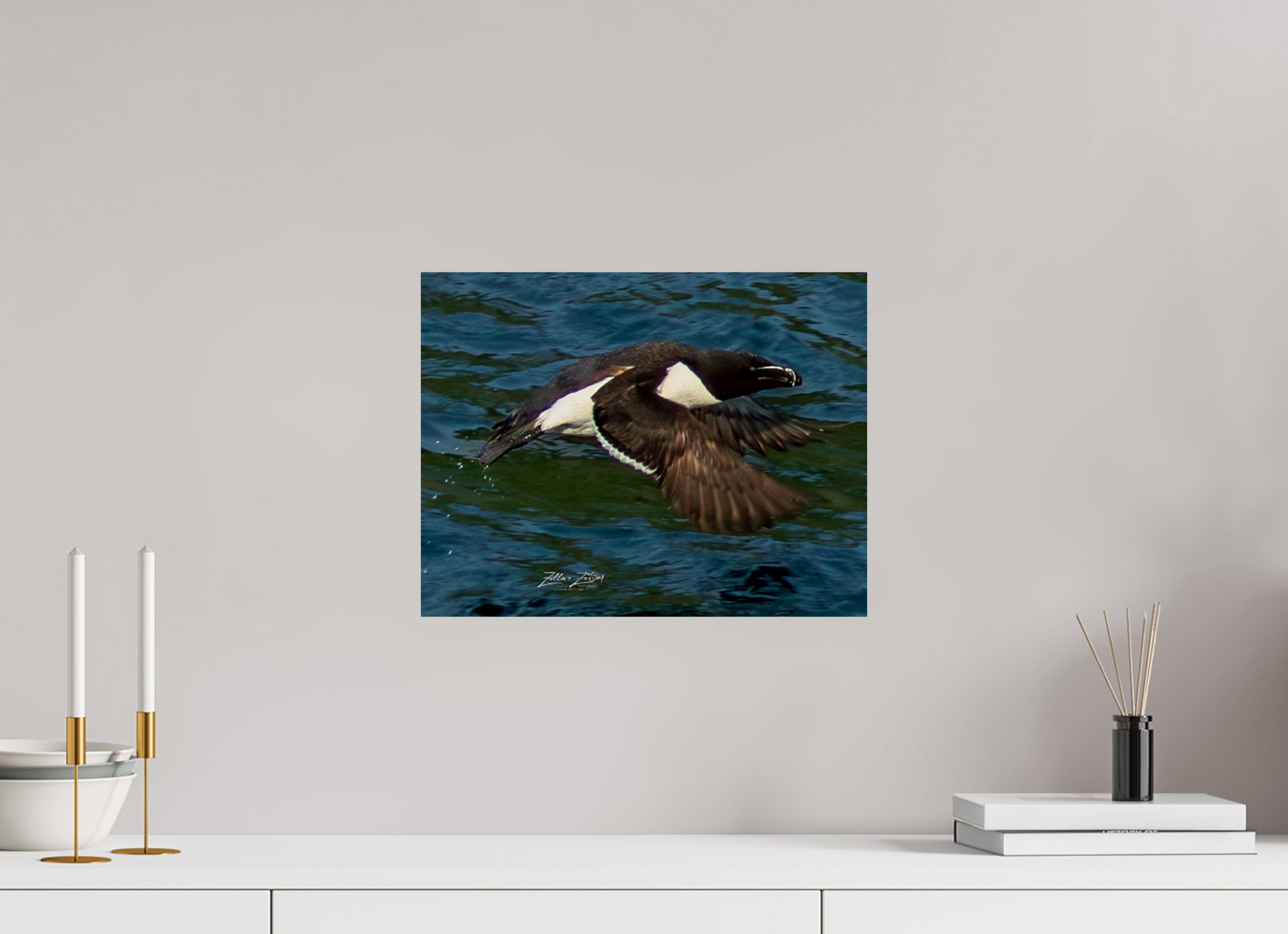 15.6 x 12″, Photo Print On Fuji Crystal DP II Zillas Zoom Image 332