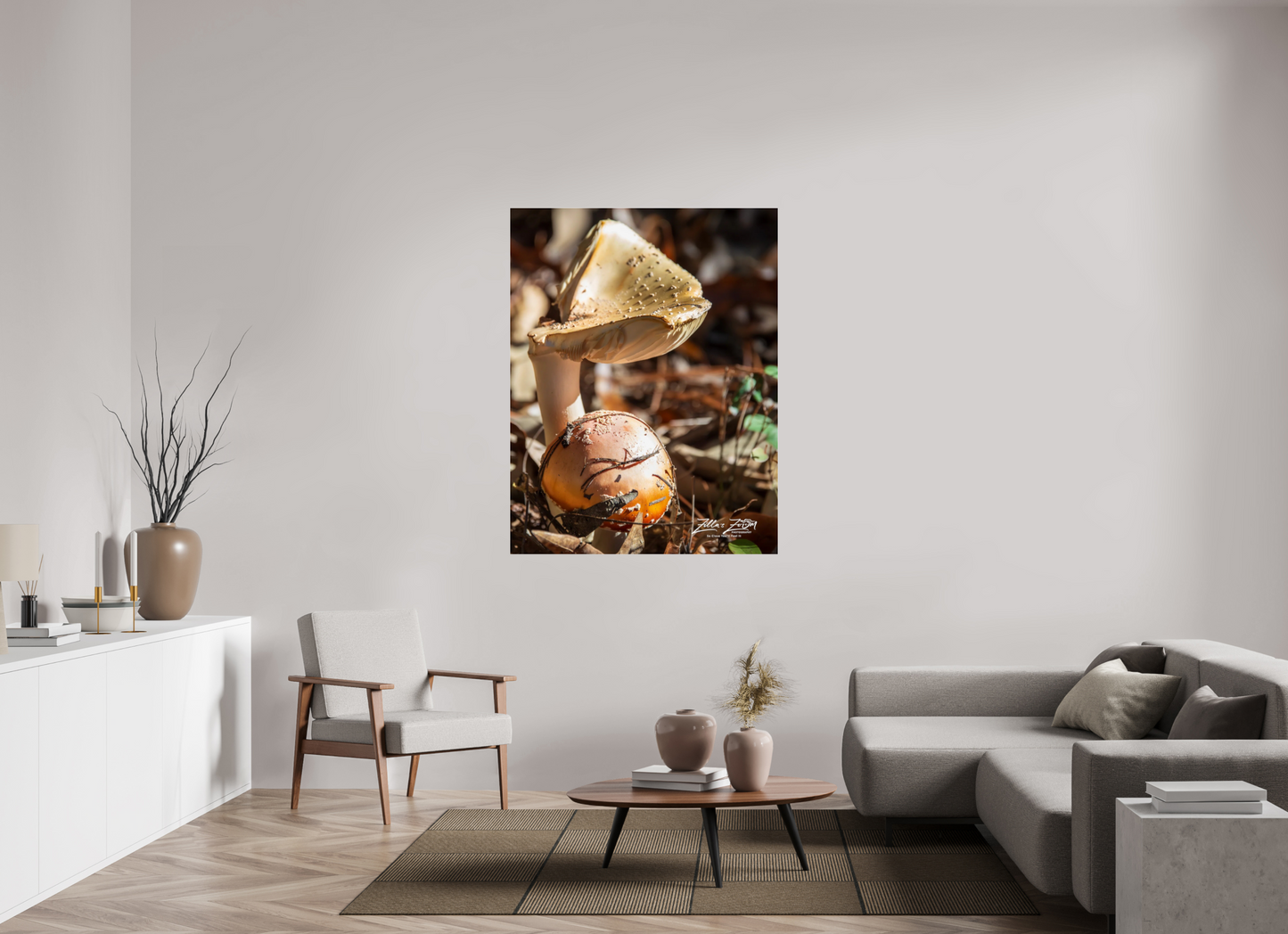 43 x 55.6″, Photo Print Under Acrylic Glass Zillas Zoom Image 116