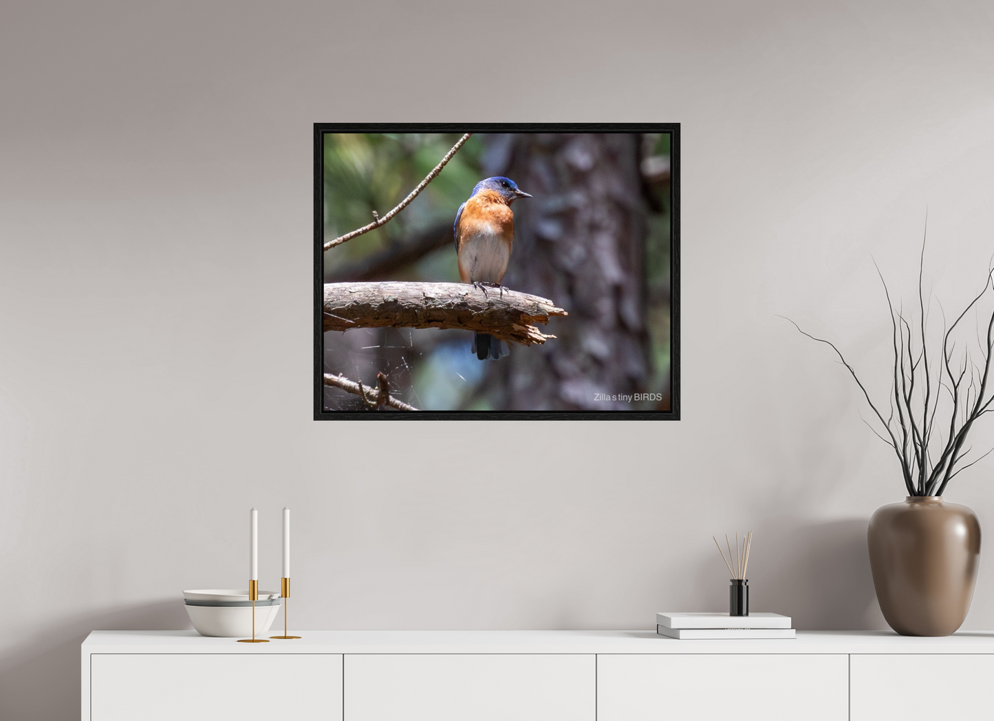 30 x 24″, Floater Frame Zillas Zoom Image 368