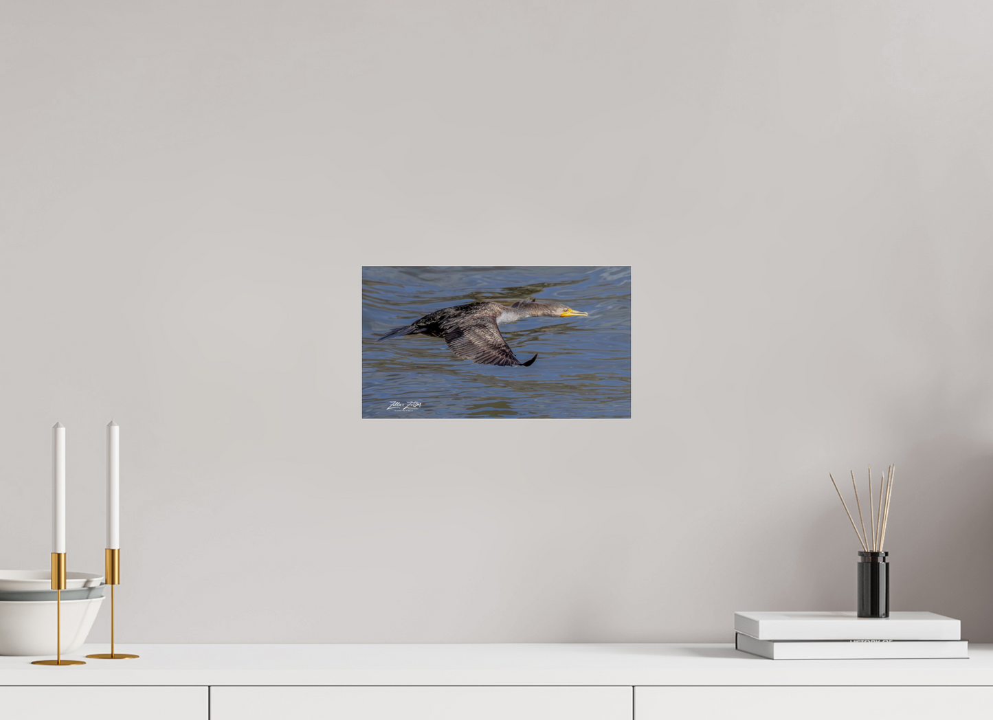 12 x 6.8″, Photo Print Under Acrylic Glass Zillas Zoom Image 291