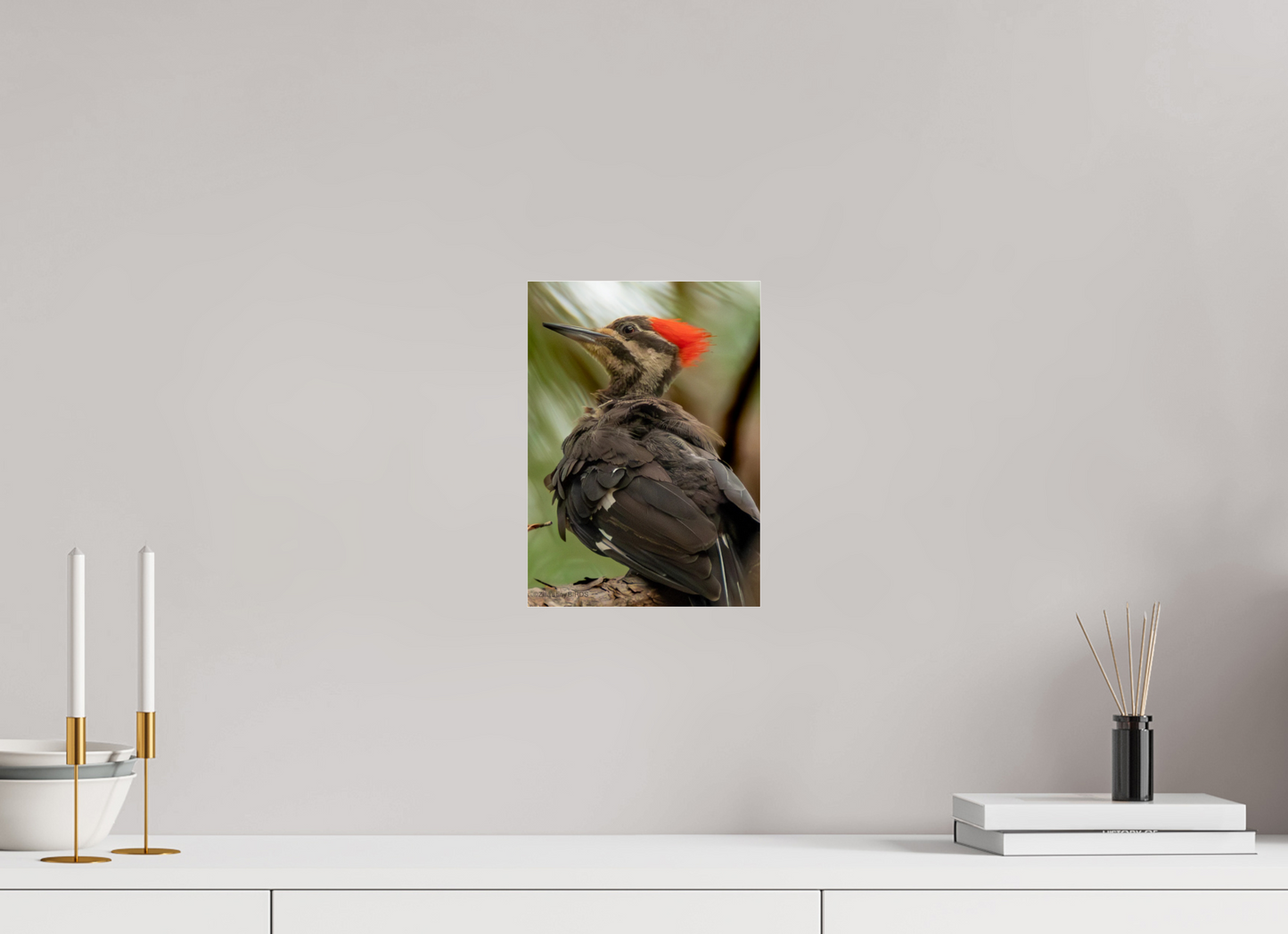 8 x 11.2″, Photo Print Under Acrylic Glass Zillas Zoom Image 443