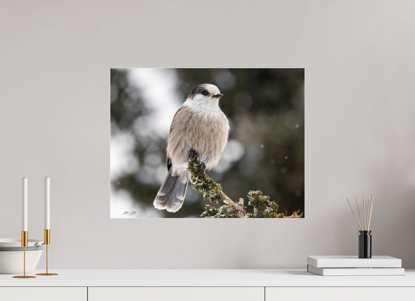 20.7 x 16″, Photo Print Under Acrylic Glass Zillas Zoom Image 353