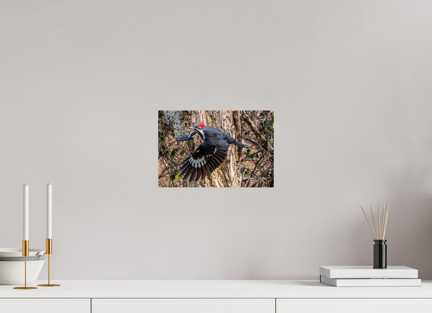 12 x 8″, Photo Print On Fuji Crystal DP II Zillas Zoom Image 285
