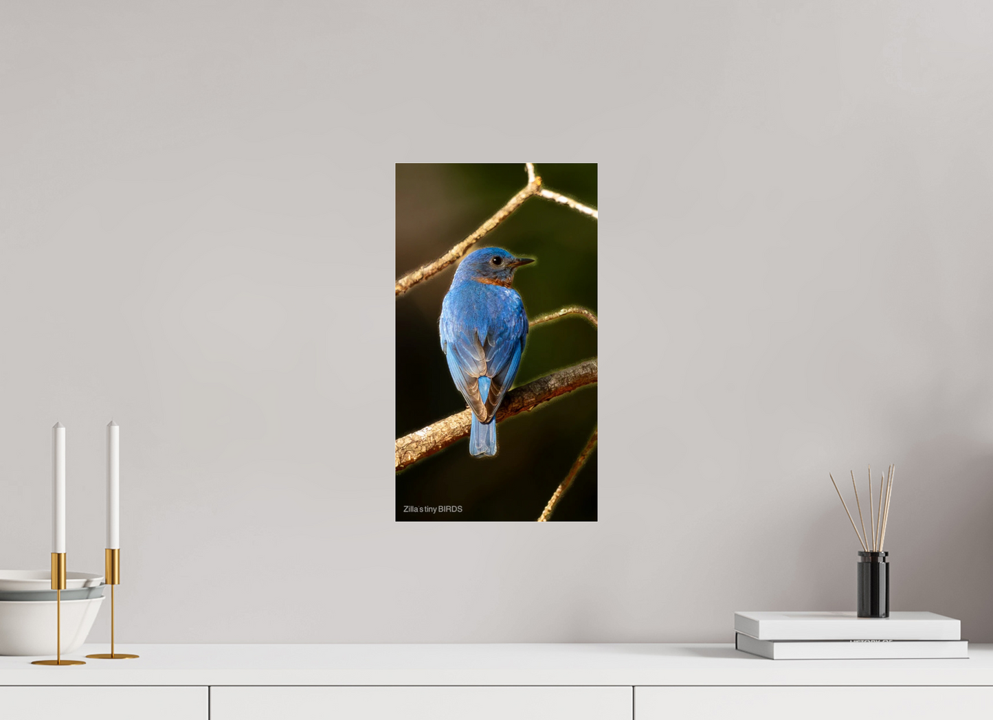 9 x 16″, Photo Print Under Acrylic Glass Zillas Zoom Image 489