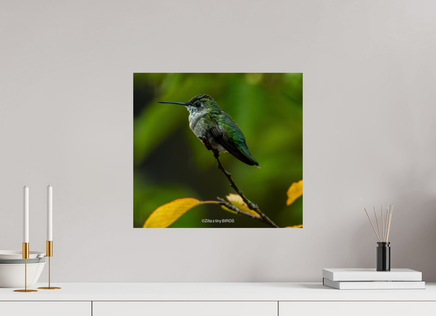 17.4 x 16″, Photo Print On Fuji Crystal DP II Zillas Zoom Image 311