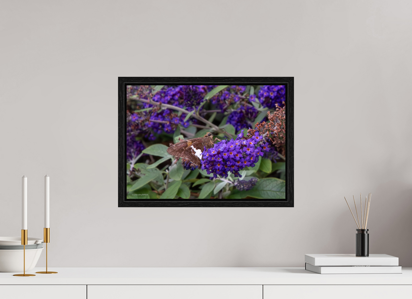 16.8 x 12″, Floater Frame Zillas Zoom Image 60
