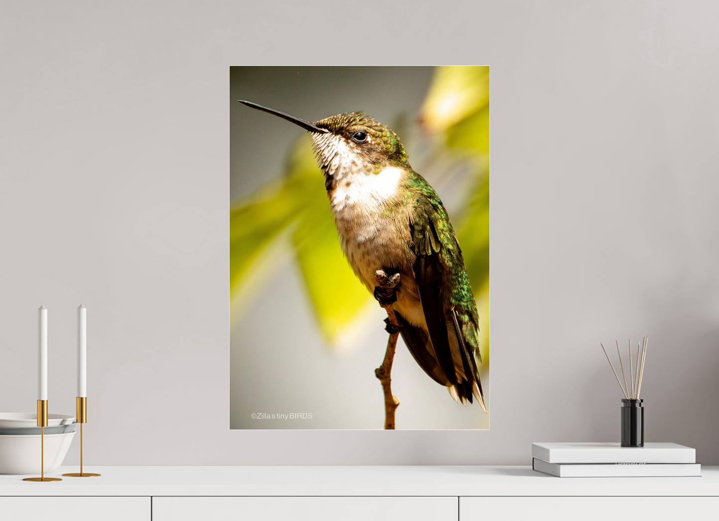 16 x 22.4″, Photo Print Under Acrylic Glass Zillas Zoom Image 473
