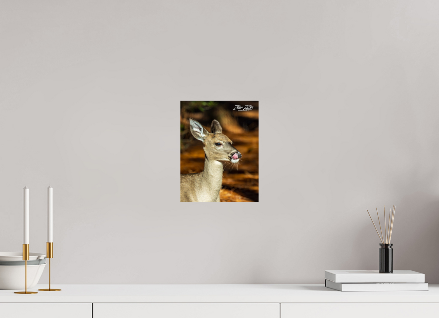 8 x 10.4″, Photo Print On Fuji Crystal DP II Zillas zoom image 152