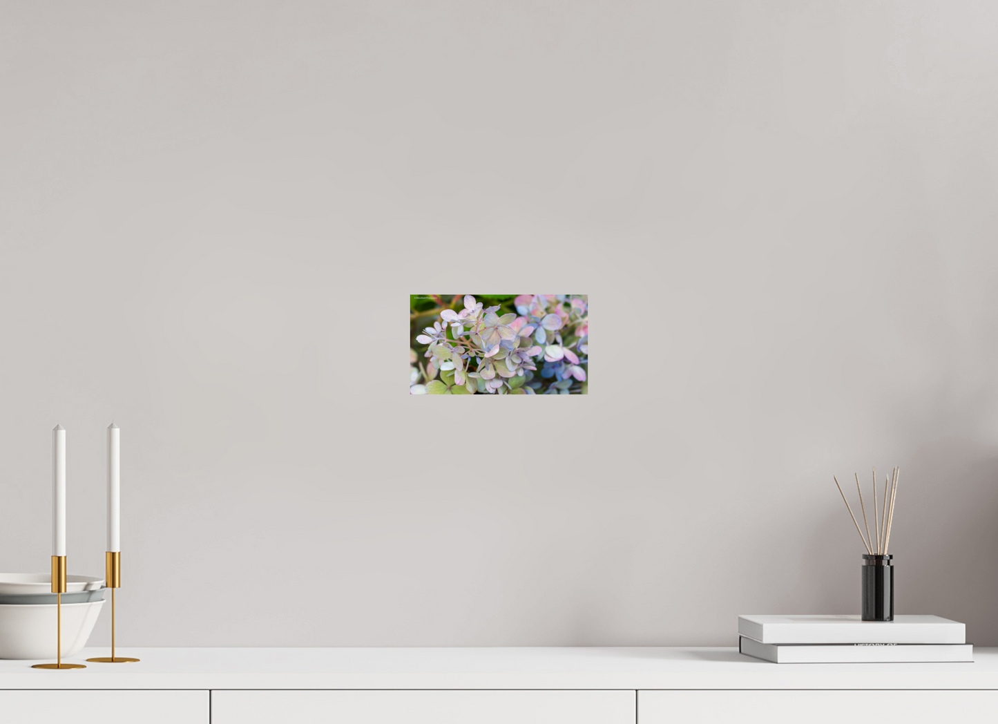 8 x 4.5″, Photo Print On Fuji Crystal DP II Zillas Zoom Image 90