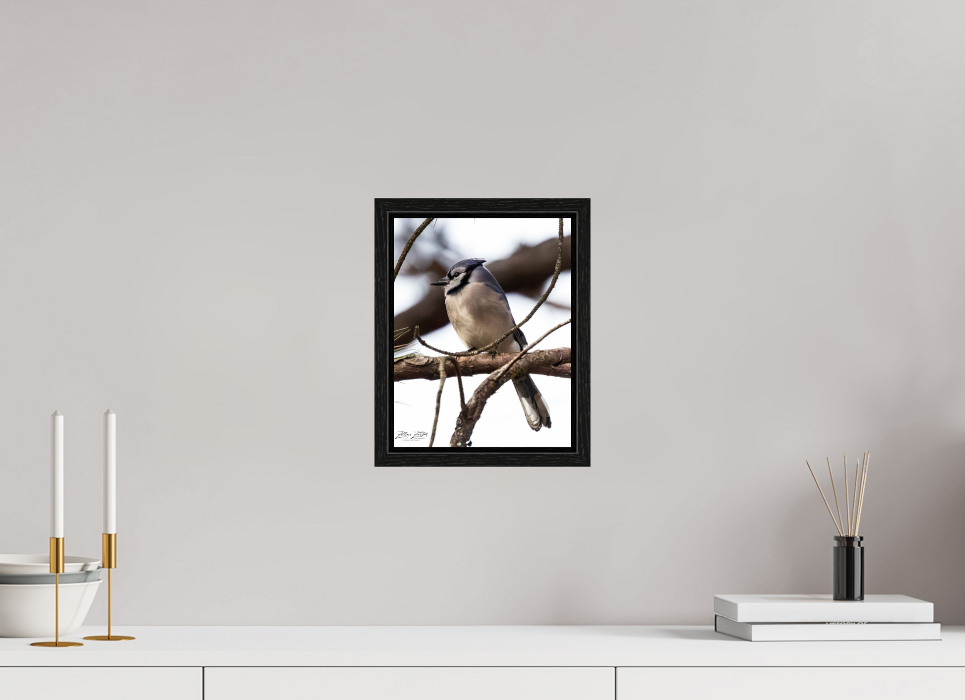 8 x 10.4″, Floater Frame Zillas Zoom Image 455