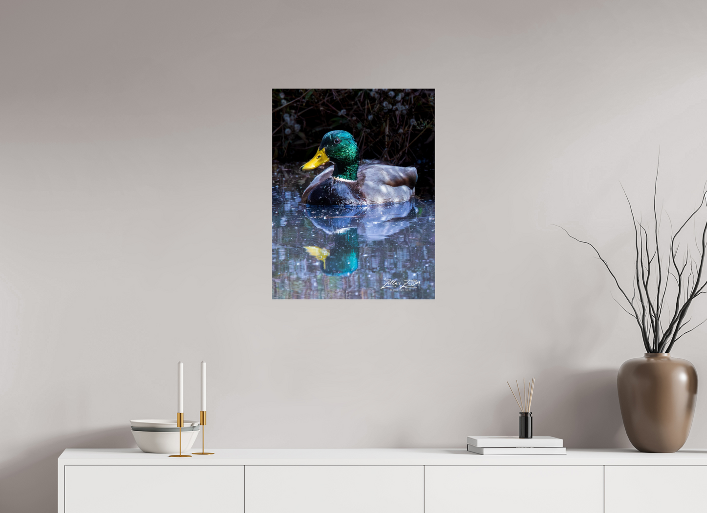20 x 25.9″, Photo Print Under Acrylic Glass Zillas Zoom Image 422