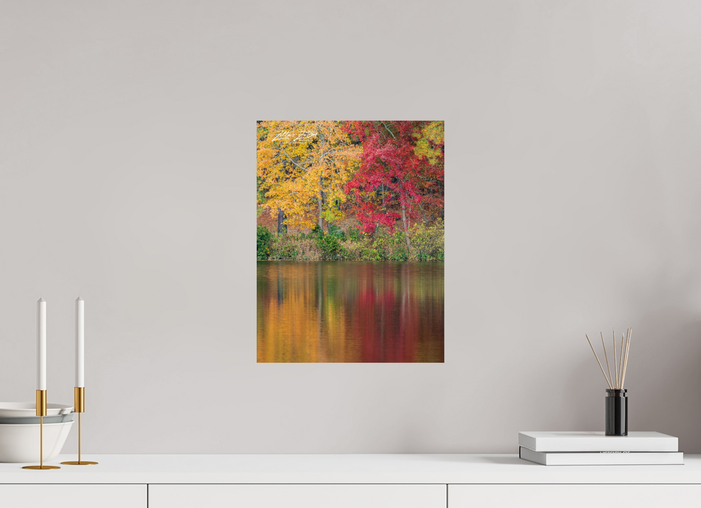 12 x 15.5″, Photo Print On Fuji Crystal DP II Zillas Zoom Image 265