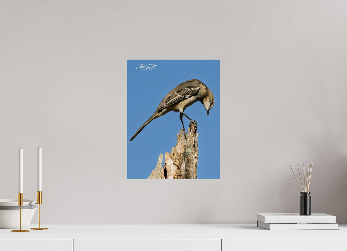 12 x 15.5″, Photo Print On Fuji Crystal DP II Zillas Zoom Image 410