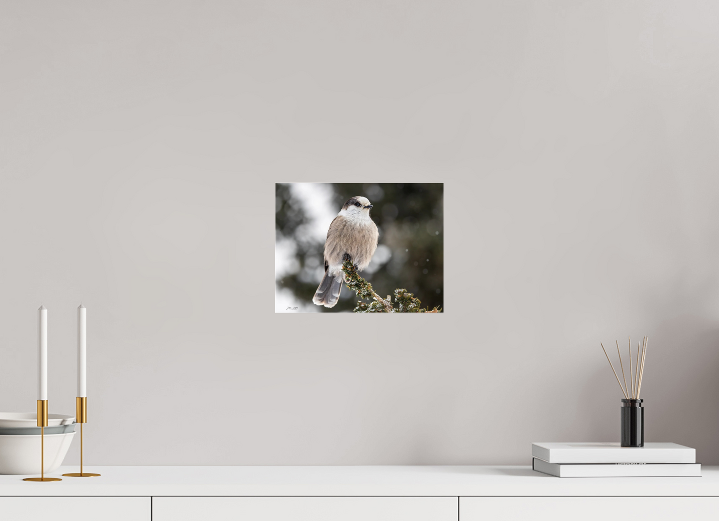 10.4 x 8″, Photo Print Under Acrylic Glass Zillas Zoom Image 353