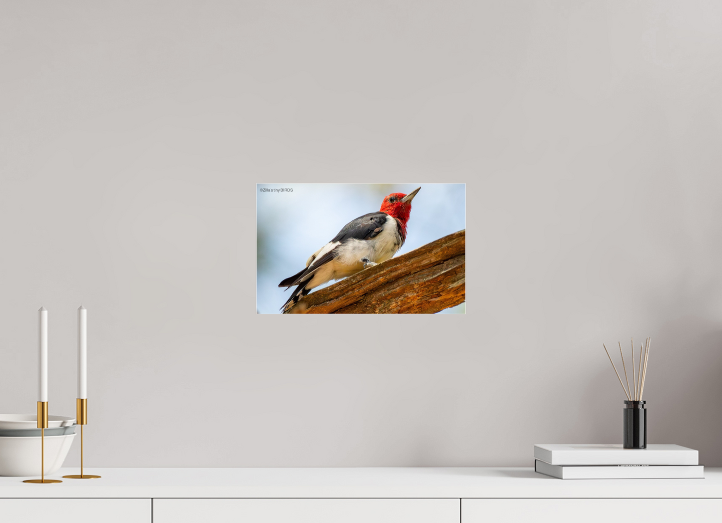 12.8 x 8″, Photo Print Under Acrylic Glass Zillas Zoom Image 328