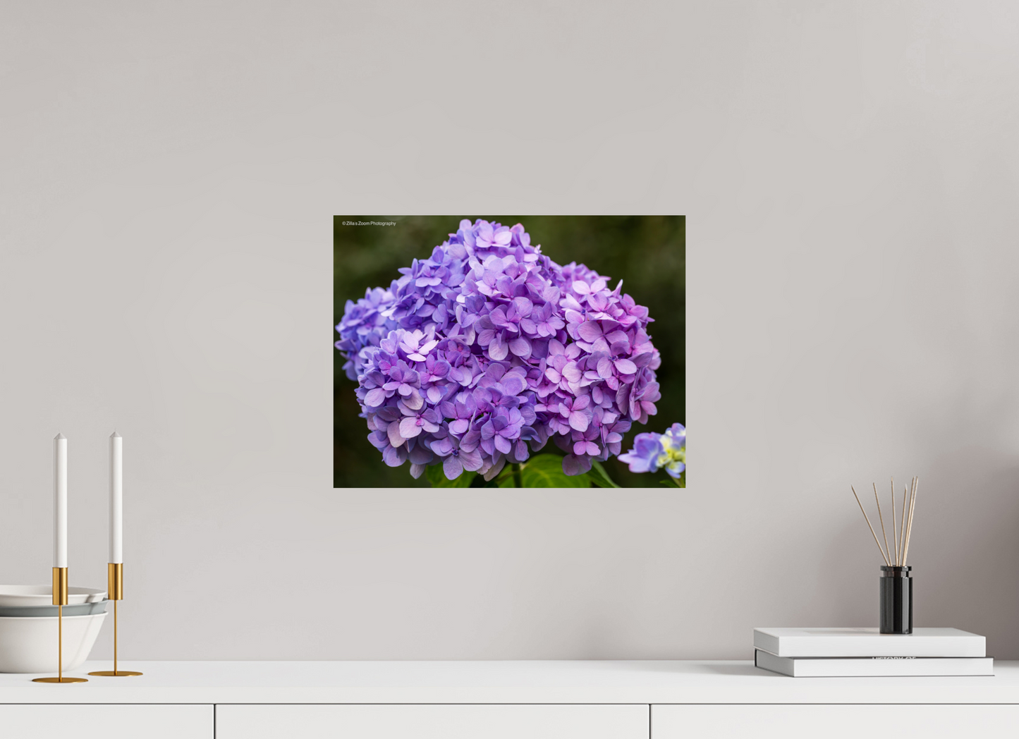 15.5 x 12″, Photo Print On Fuji Crystal DP II Zillas Zoom Image 95