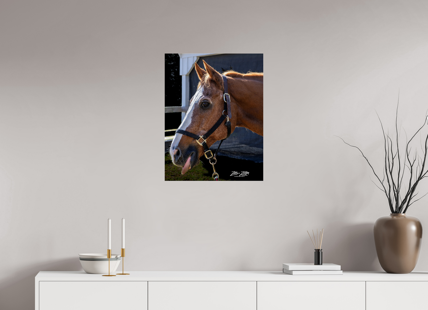 20 x 25.9″, Photo Print Under Acrylic Glass Zillas zoom image 157