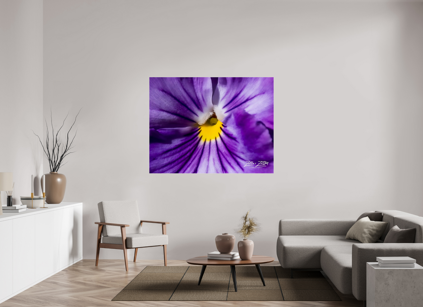 60.8 x 47″, Photo Print Under Acrylic Glass Zillas Zoom Image 105