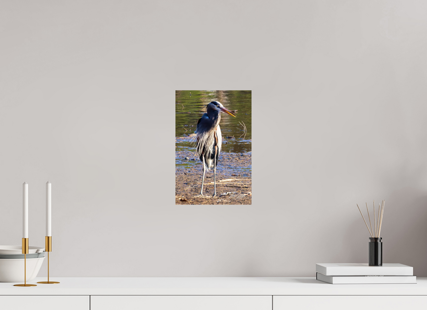 8 x 12″, Photo Print On Fuji Crystal DP II Zillas Zoom Image 412
