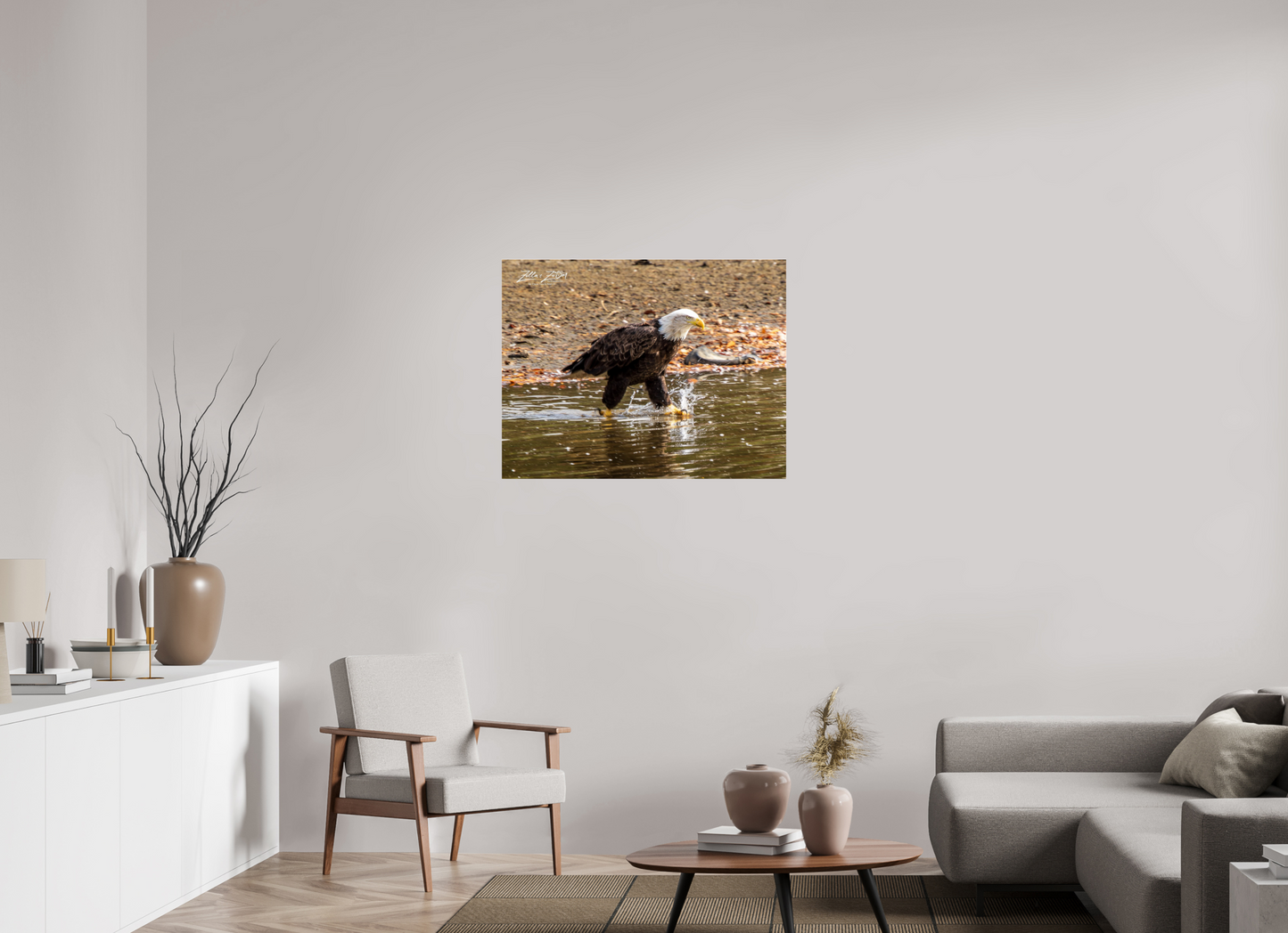 36.2 x 28″, Photo Print Under Acrylic Glass Zillas Zoom Image 303