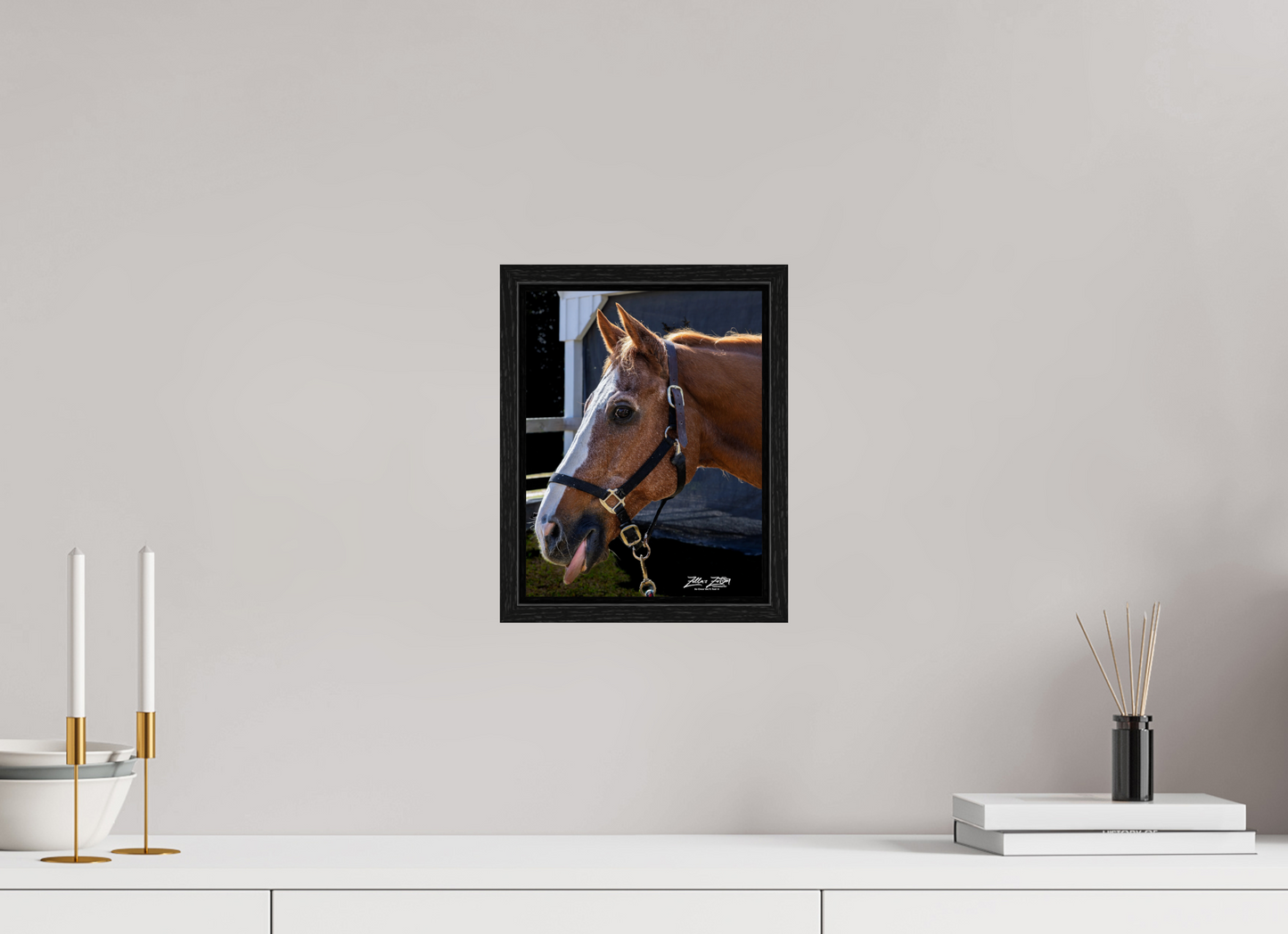 8 x 10.4″, Floater Frame Zillas zoom image 157