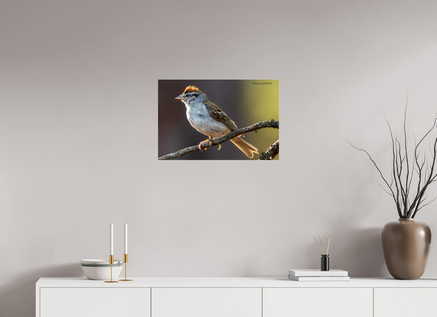 24 x 16″, Photo Print Under Acrylic Glass Zillas Zoom Image 308