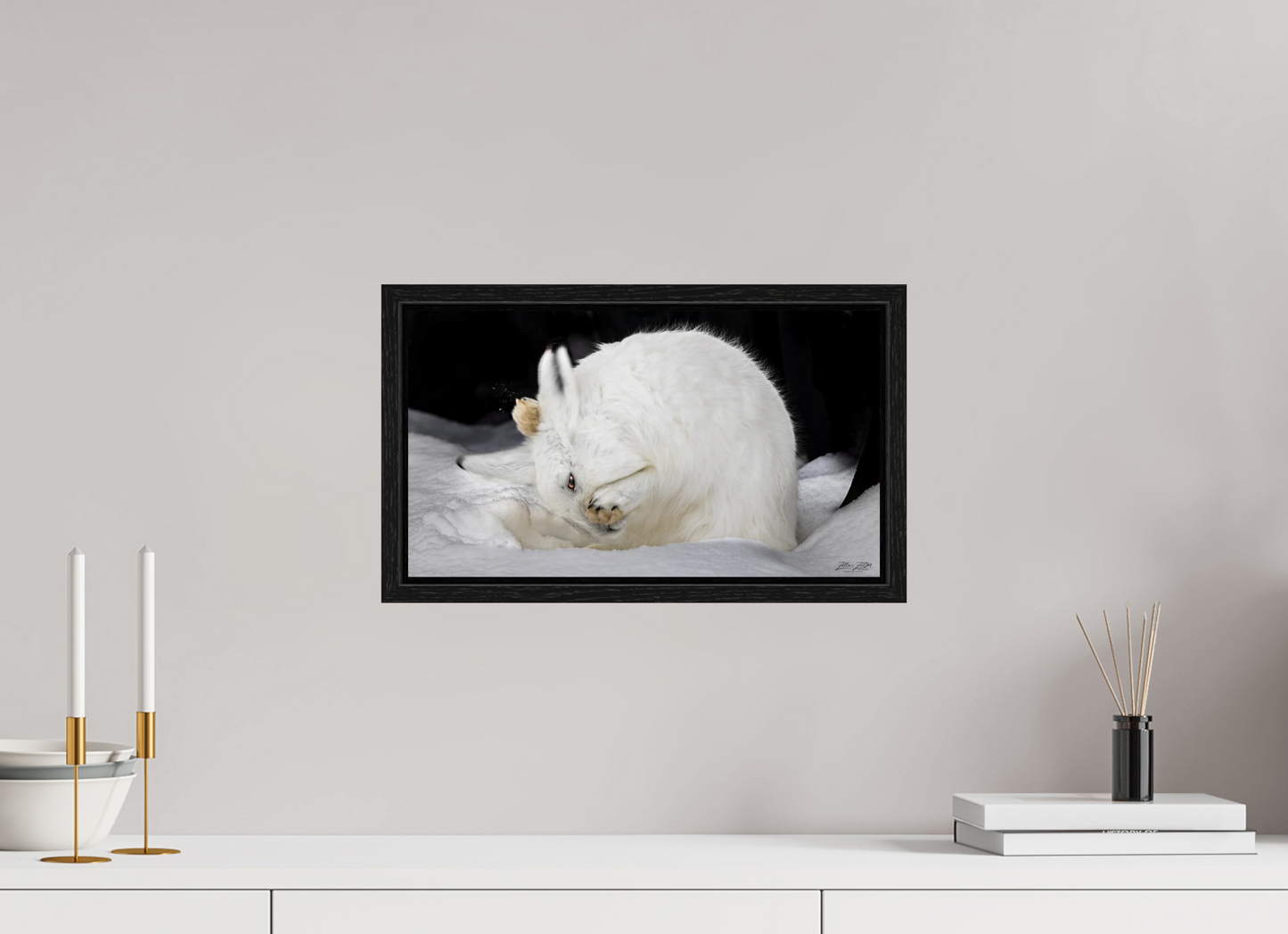 16 x 9″, Floater Frame Zillas zoom image 142