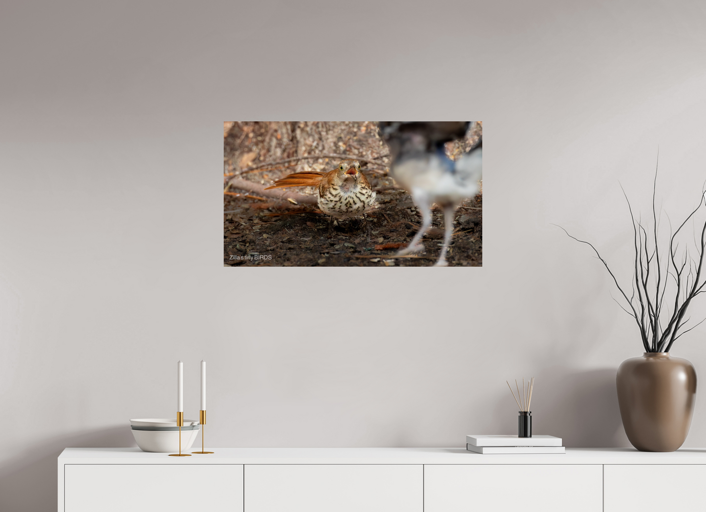 32 x 18″, Photo Print On Fuji Crystal DP II Zillas Zoom Image 383
