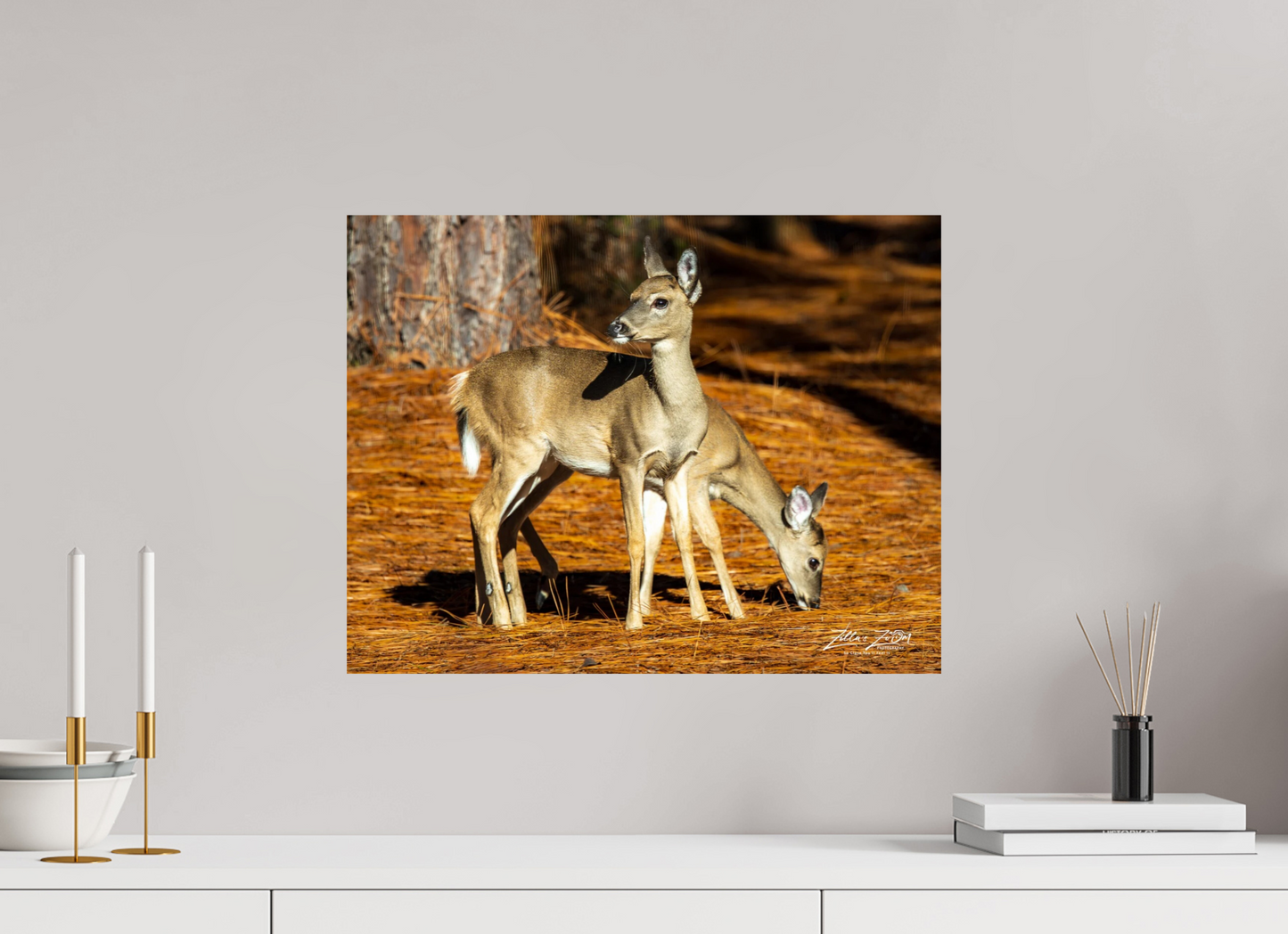 20.7 x 16″, Photo Print On Fuji Crystal DP II Zillas zoom image 144