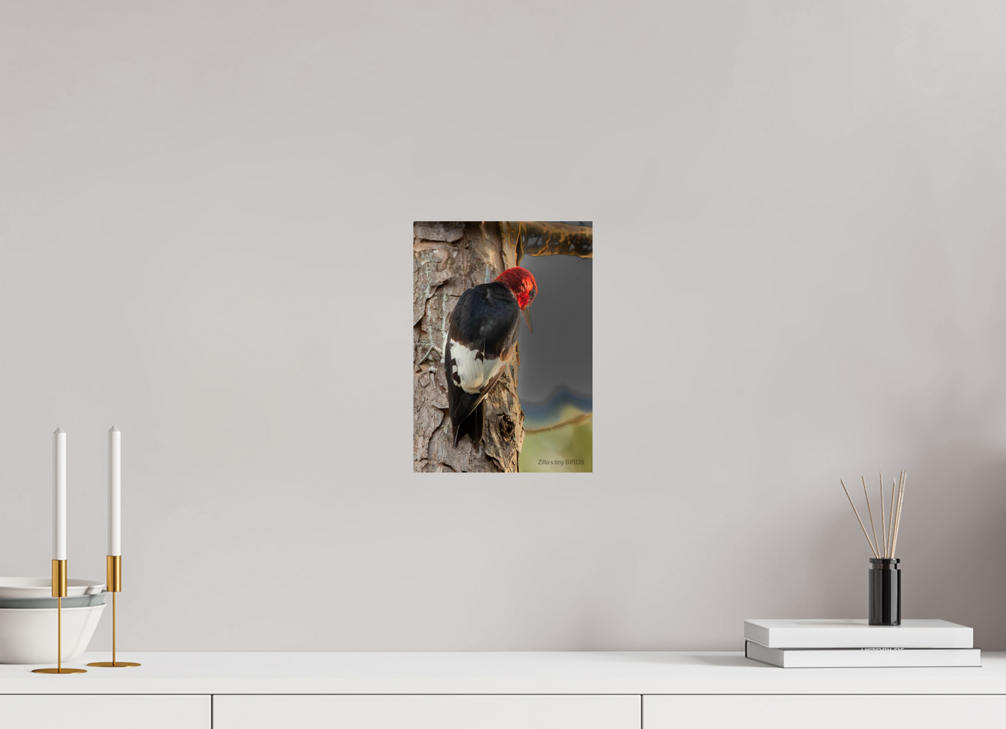 8 x 11.2″, Photo Print On Fuji Crystal DP II Zillas Zoom Image 502