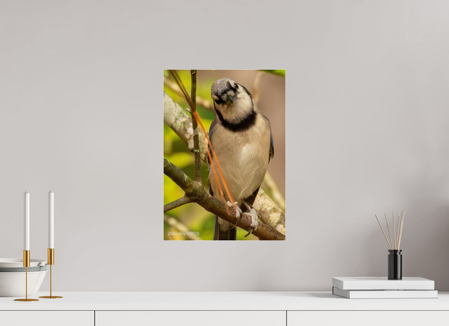 12 x 16.8″, Photo Print Under Acrylic Glass Zillas Zoom Image 505